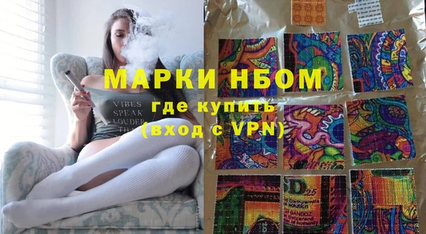 молекула духа Богданович