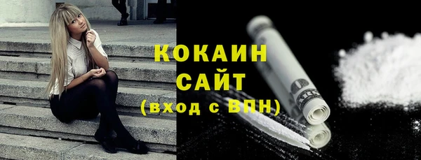 молекула духа Богданович