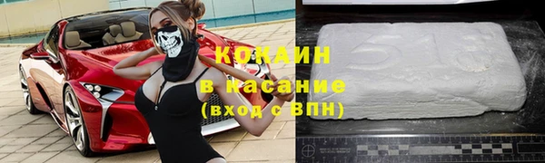 крисы Богородицк