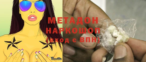 молекула духа Богданович