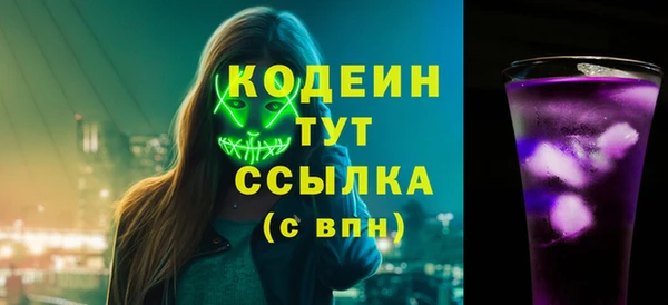крисы Богородицк