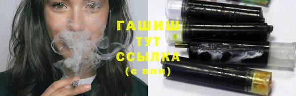 молекула духа Богданович