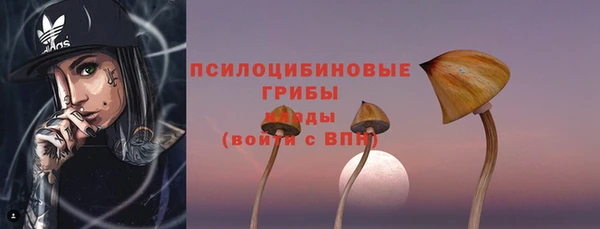 молекула духа Богданович