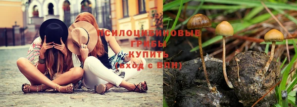 молекула духа Богданович