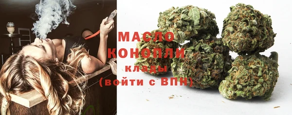 крисы Богородицк