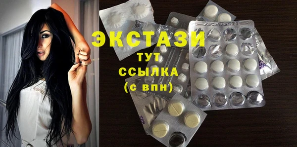 крисы Богородицк