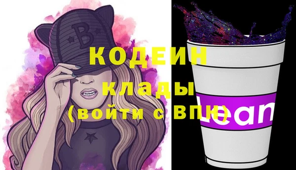 крисы Богородицк