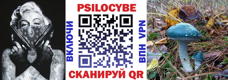 МЕГА как войти  Дагестанские Огни  Псилоцибиновые грибы Cubensis  наркота 