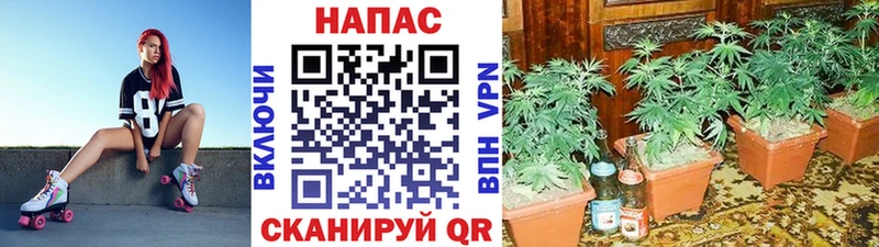 Канабис сатива  гидра ТОР  Дагестанские Огни  даркнет сайт 